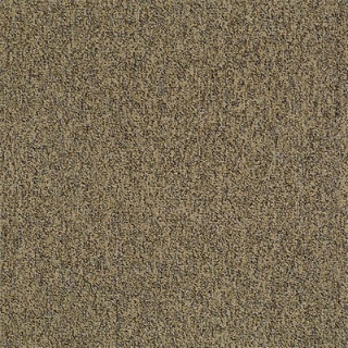 Picture of Philadelphia Commercial by Shaw - Multiplicity 24 x 24 Abundance