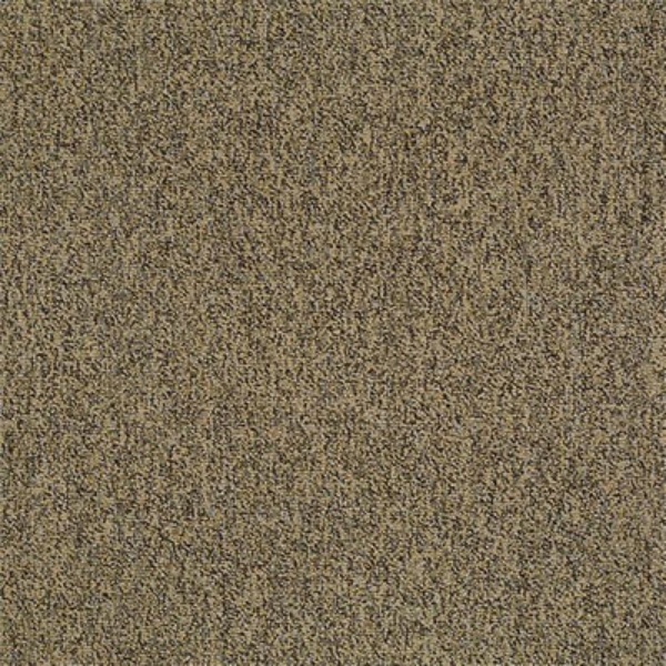 Picture of Philadelphia Commercial by Shaw - Multiplicity 24 x 24 Abundance