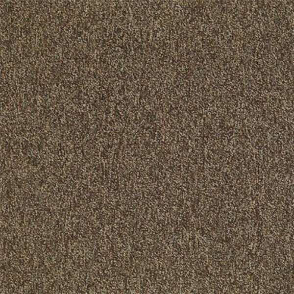 Picture of Philadelphia Commercial by Shaw - Multiplicity 24 x 24 Exuberance