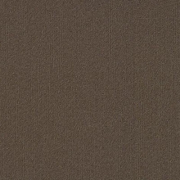 Picture of Philadelphia Commercial by Shaw - Color Accents 18 x 36 Bark