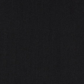 Picture of Philadelphia Commercial by Shaw - Color Accents 18 x 36 Black