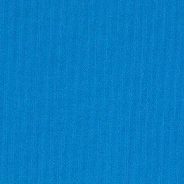 Picture of Philadelphia Commercial by Shaw - Color Accents 18 x 36 Blue