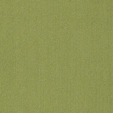 Picture of Philadelphia Commercial by Shaw - Color Accents 18 x 36 Brite Green