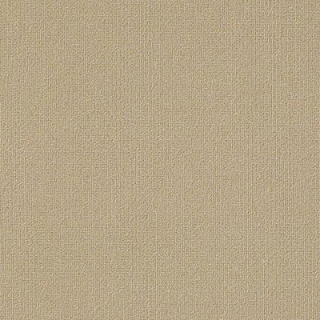 Picture of Philadelphia Commercial by Shaw - Color Accents 18 x 36 Cashmere