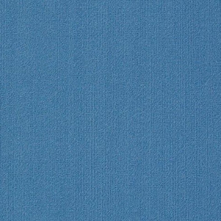 Picture of Philadelphia Commercial by Shaw - Color Accents 18 x 36 Marina