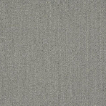 Picture of Philadelphia Commercial by Shaw - Color Accents 18 x 36 Med Grey