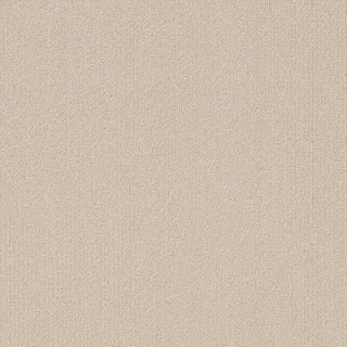 Picture of Philadelphia Commercial by Shaw - Color Accents 18 x 36 Oatmeal