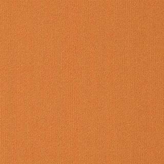 Picture of Philadelphia Commercial by Shaw - Color Accents 18 x 36 Orange