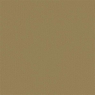 Picture of Philadelphia Commercial by Shaw - Color Accents 24 x 24 Aloe