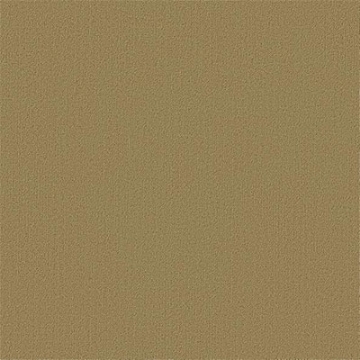 Picture of Philadelphia Commercial by Shaw - Color Accents 24 x 24 Aloe