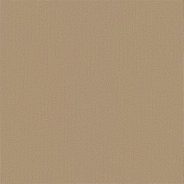 Picture of Philadelphia Commercial by Shaw - Color Accents 24 x 24 Autumn Gold