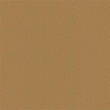 Picture of Philadelphia Commercial by Shaw - Color Accents 24 x 24 Brasserie