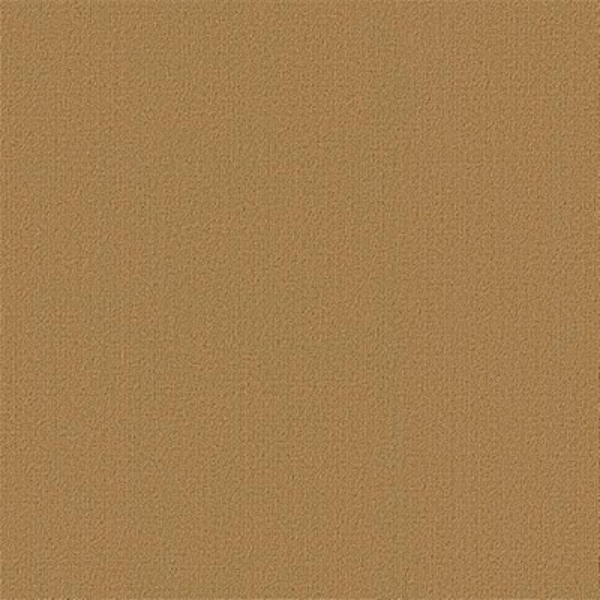 Picture of Philadelphia Commercial by Shaw - Color Accents 24 x 24 Brasserie