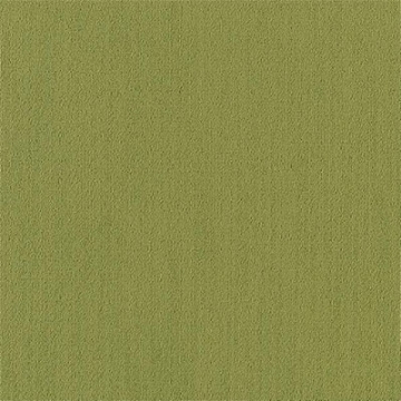 Picture of Philadelphia Commercial by Shaw - Color Accents 24 x 24 Brite Green