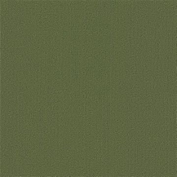 Picture of Philadelphia Commercial by Shaw - Color Accents 24 x 24 Cactus