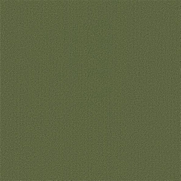 Picture of Philadelphia Commercial by Shaw - Color Accents 24 x 24 Cactus