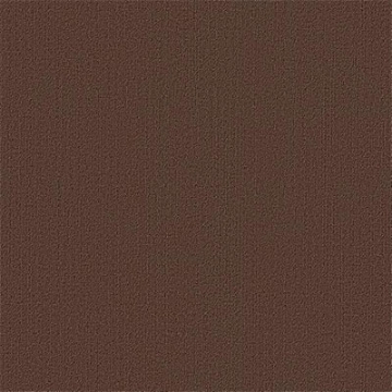 Picture of Philadelphia Commercial by Shaw - Color Accents 24 x 24 Coffee