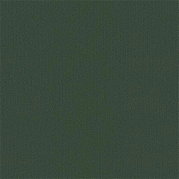 Picture of Philadelphia Commercial by Shaw - Color Accents 24 x 24 Cyprus