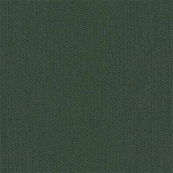 Picture of Philadelphia Commercial by Shaw - Color Accents 24 x 24 Cyprus