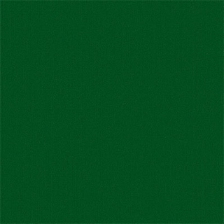 Picture of Philadelphia Commercial by Shaw - Color Accents 24 x 24 Dark Green