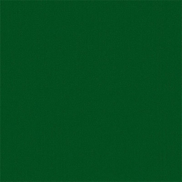 Picture of Philadelphia Commercial by Shaw - Color Accents 24 x 24 Dark Green