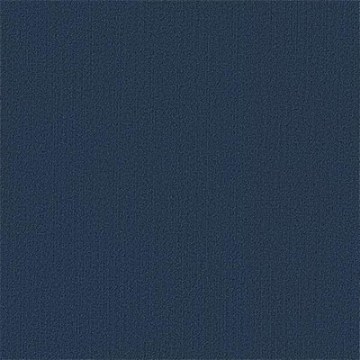 Picture of Philadelphia Commercial by Shaw - Color Accents 24 x 24 Deep Navy