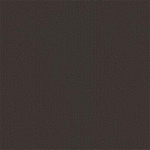 Picture of Philadelphia Commercial by Shaw - Color Accents 24 x 24 Ebony