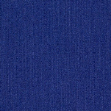 Picture of Philadelphia Commercial by Shaw - Color Accents 24 x 24 Electric