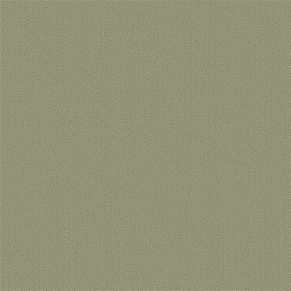 Picture of Philadelphia Commercial by Shaw - Color Accents 24 x 24 Fescue