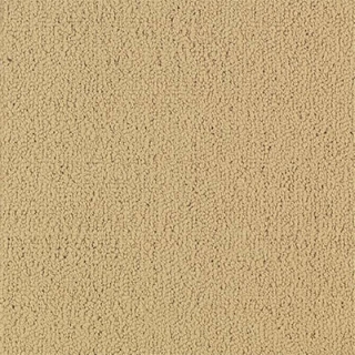 Picture of Philadelphia Commercial by Shaw - Color Accents 24 x 24 Flax