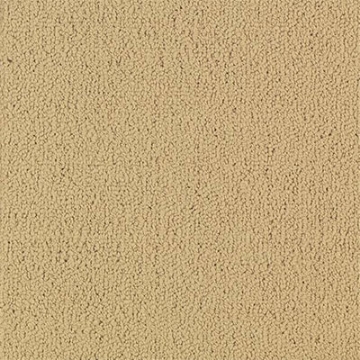 Picture of Philadelphia Commercial by Shaw - Color Accents 24 x 24 Flax