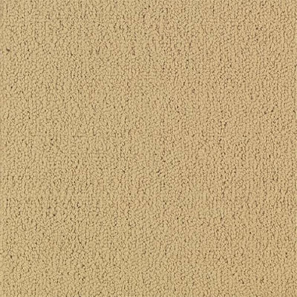 Picture of Philadelphia Commercial by Shaw - Color Accents 24 x 24 Flax