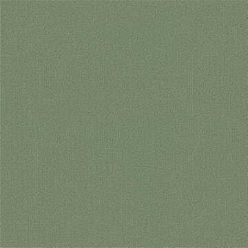 Picture of Philadelphia Commercial by Shaw - Color Accents 24 x 24 Foliage