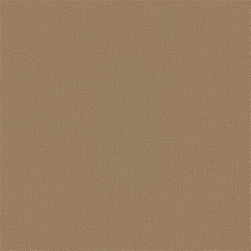 Picture of Philadelphia Commercial by Shaw - Color Accents 24 x 24 Gilded