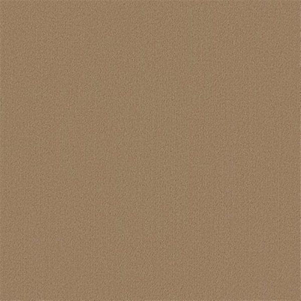 Picture of Philadelphia Commercial by Shaw - Color Accents 24 x 24 Gilded