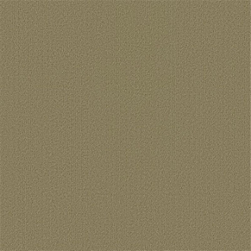 Picture of Philadelphia Commercial by Shaw - Color Accents 24 x 24 Glass