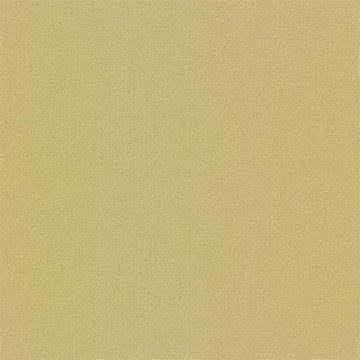 Picture of Philadelphia Commercial by Shaw - Color Accents 24 x 24 Glaze