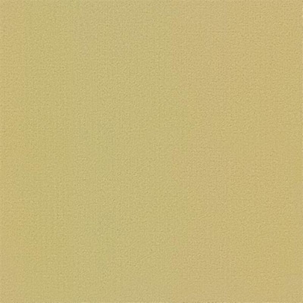 Picture of Philadelphia Commercial by Shaw - Color Accents 24 x 24 Glaze