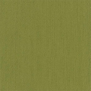 Picture of Philadelphia Commercial by Shaw - Color Accents 24 x 24 Green