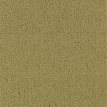 Picture of Philadelphia Commercial by Shaw - Color Accents 24 x 24 Herbal