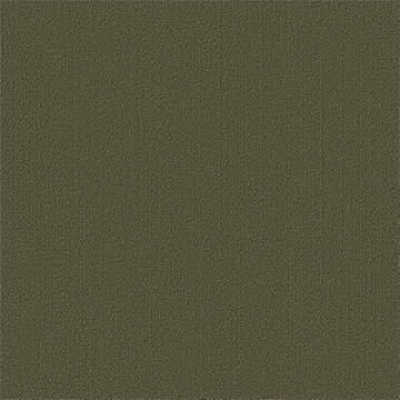 Picture of Philadelphia Commercial by Shaw - Color Accents 24 x 24 Ivy