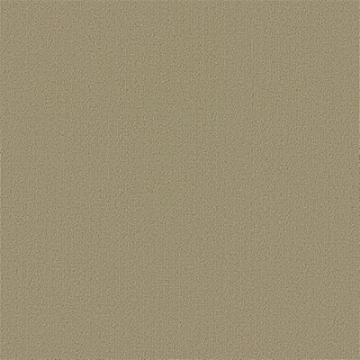 Picture of Philadelphia Commercial by Shaw - Color Accents 24 x 24 Lichen