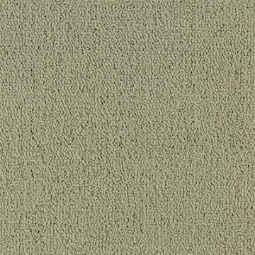 Picture of Philadelphia Commercial by Shaw - Color Accents 24 x 24 Light Taupe