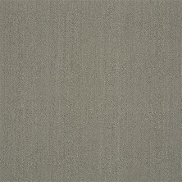 Picture of Philadelphia Commercial by Shaw - Color Accents 24 x 24 Mineralite