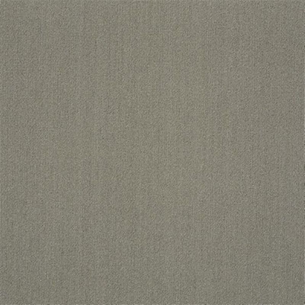 Picture of Philadelphia Commercial by Shaw - Color Accents 24 x 24 Mineralite