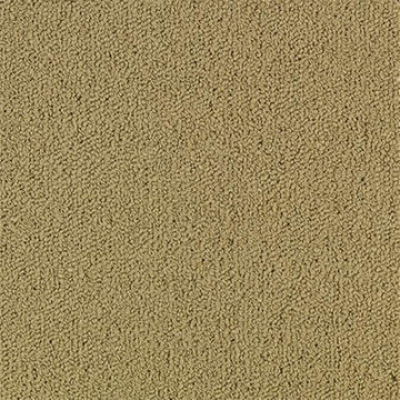 Picture of Philadelphia Commercial by Shaw - Color Accents 24 x 24 Pecan