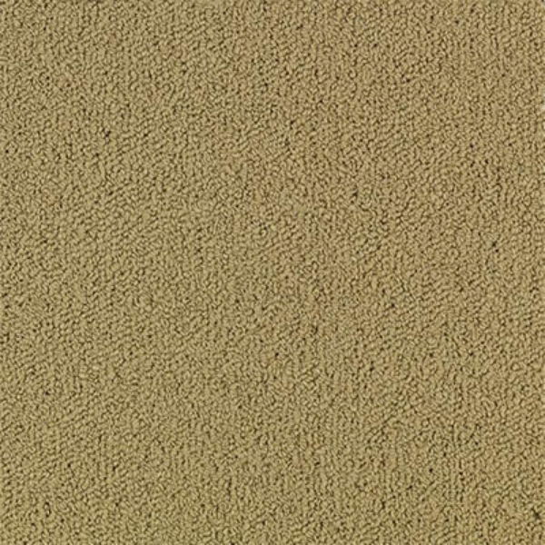 Picture of Philadelphia Commercial by Shaw - Color Accents 24 x 24 Pecan