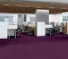 Picture of Philadelphia Commercial by Shaw - Color Accents 24 x 24 Purple