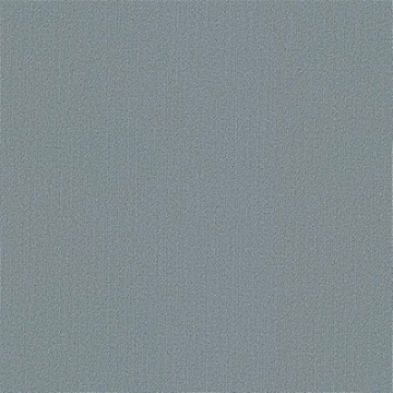 Picture of Philadelphia Commercial by Shaw - Color Accents 24 x 24 Russian Sky