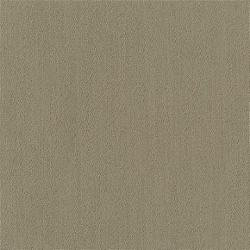 Picture of Philadelphia Commercial by Shaw - Color Accents 24 x 24 Sage